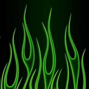 Meet your Posher, Nicholas